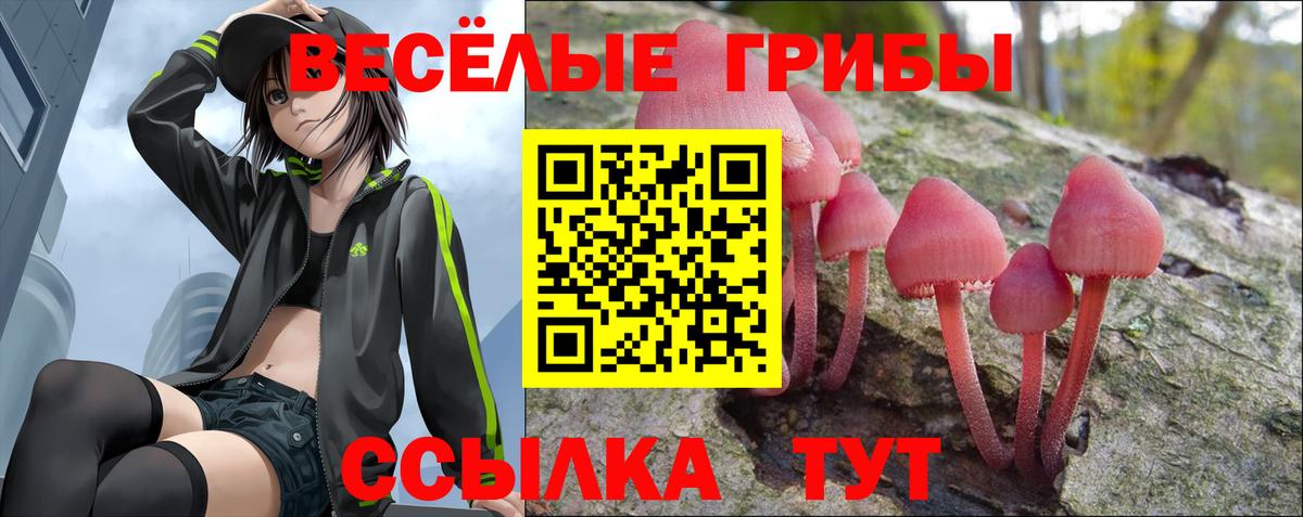 Псилоцибиновые грибы ЛСД Славгород