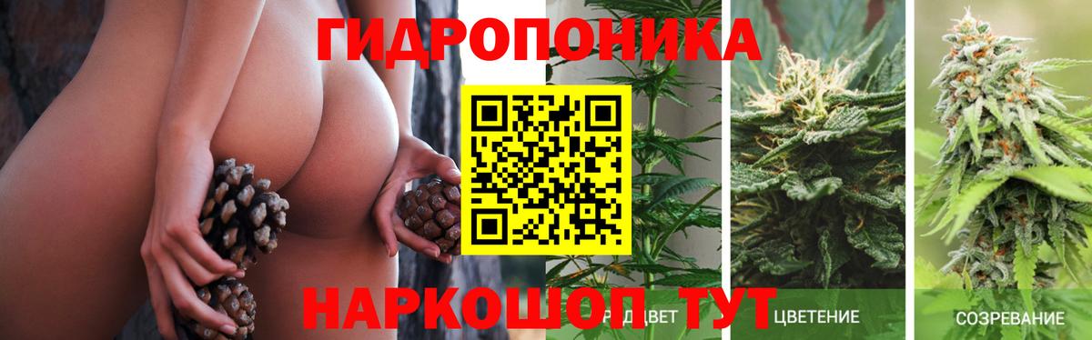 Каннабис Ganja  Каннабис SATIVA & INDICA  Славгород  Шишки марихуана Amnesia  Вход с VPN 